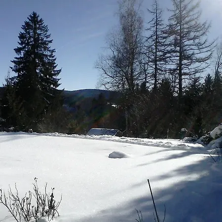 Sonnige-erholung-am-feldberg *