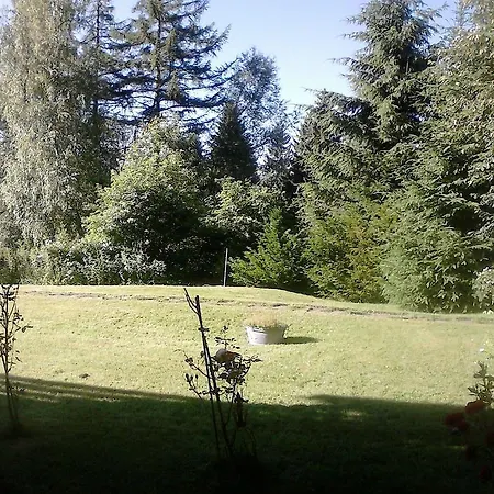 Sonnige-erholung-am-feldberg